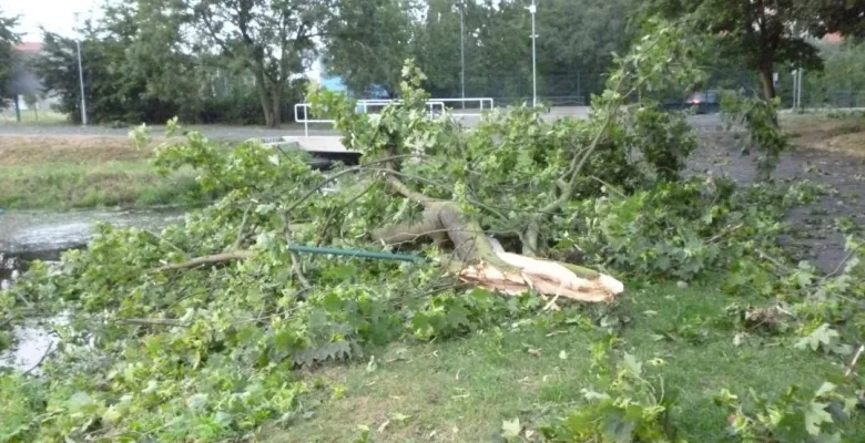 Od 14:00 hodin bude areál opět otevřen