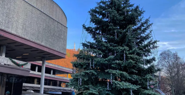 Vánoční strom letos rozsvítíme online