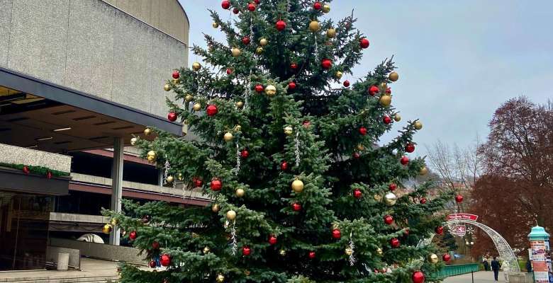 Vánoční trhy v Karlových Varech nebudou, strom se rozsvítí on-line