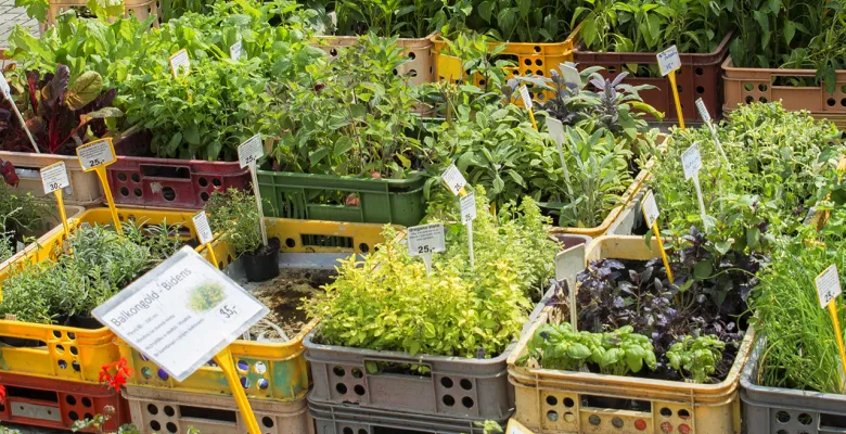 Farmářské trhy Karlovy Vary