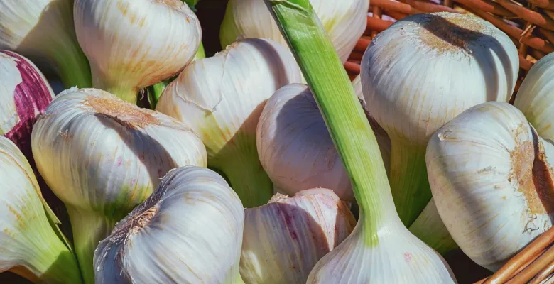 Farmářské trhy ve znamení česneku a burčáku