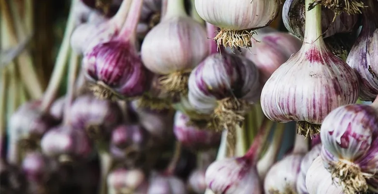 Farmářské trhy Karlovy Vary