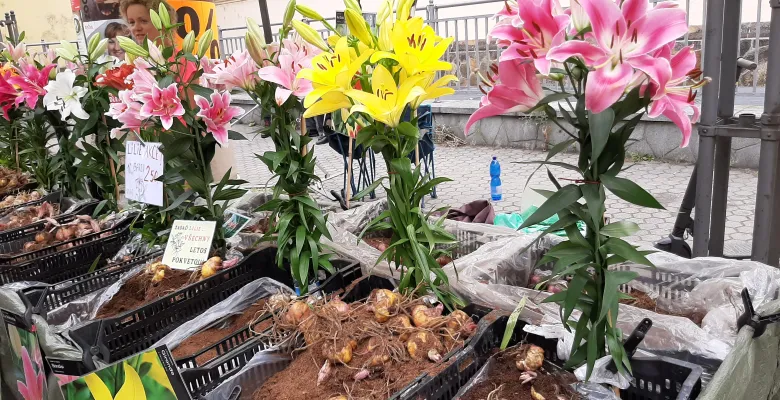 Farmářské trhy Karlovy Vary