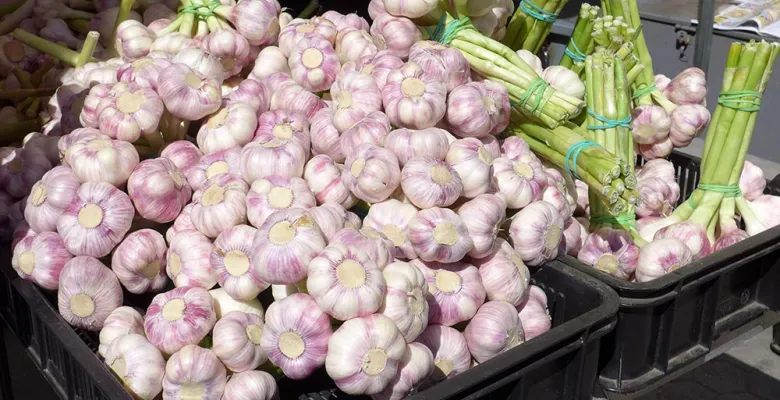 Farmářské trhy Karlovy Vary