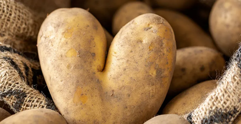 Farmářské trhy Karlovy Vary