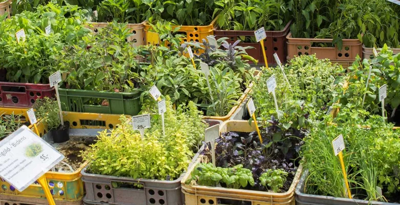 Farmářské trhy Karlovy Vary