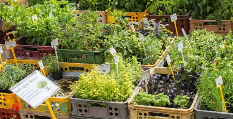 Farmářské trhy Karlovy Vary