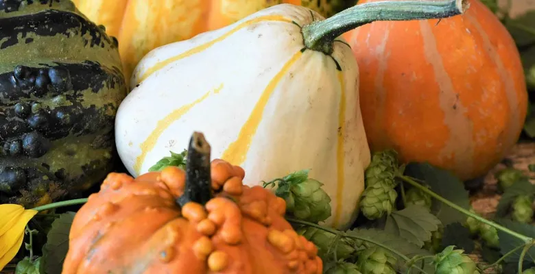 Regionální potraviny na farmářských trzích