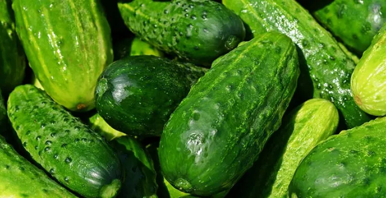 Farmářské trhy Karlovy Vary