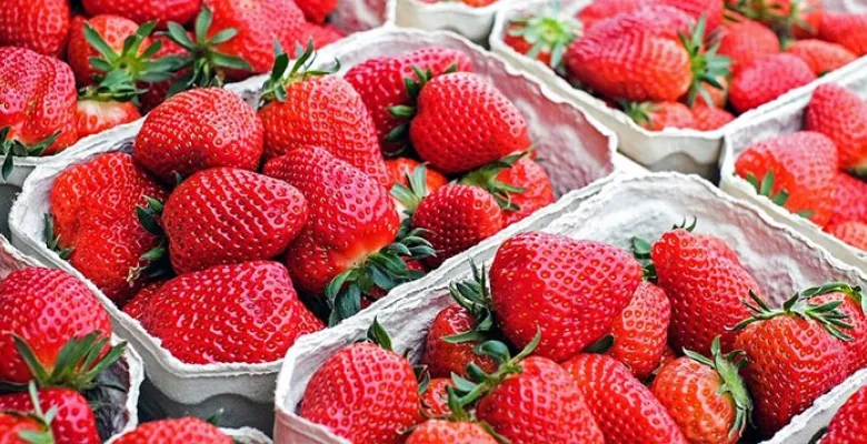 Farmářské trhy Karlovy Vary