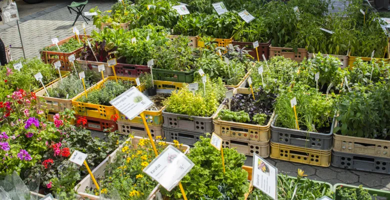 Farmářské trhy Karlovy Vary