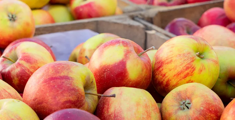 Farmářské trhy nabídnou čerstvé ovoce