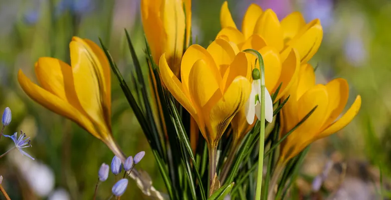 Farmářské trhy Karlovy Vary