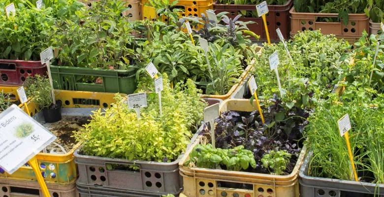 Farmářské trhy Karlovy Vary