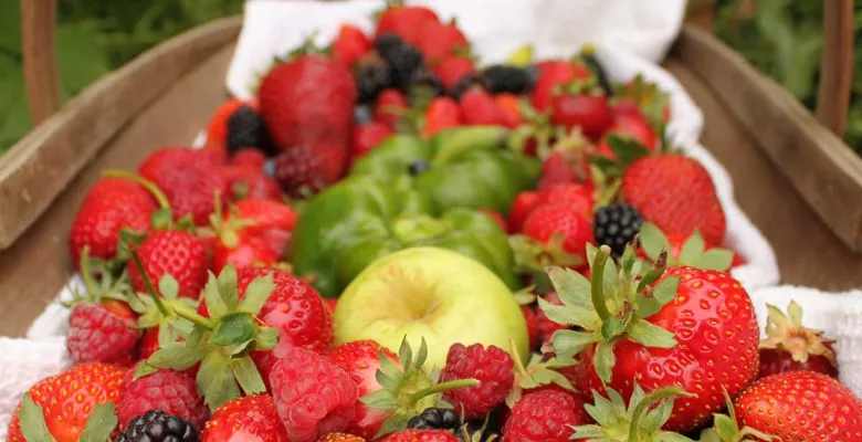 Farmářské trhy Karlovy Vary