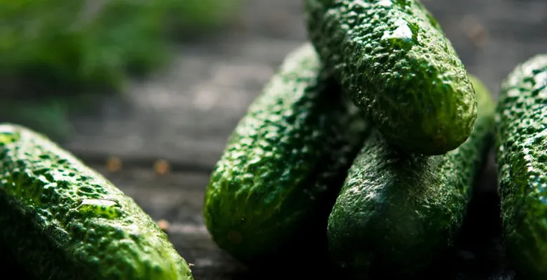 Farmářské trhy Karlovy Vary