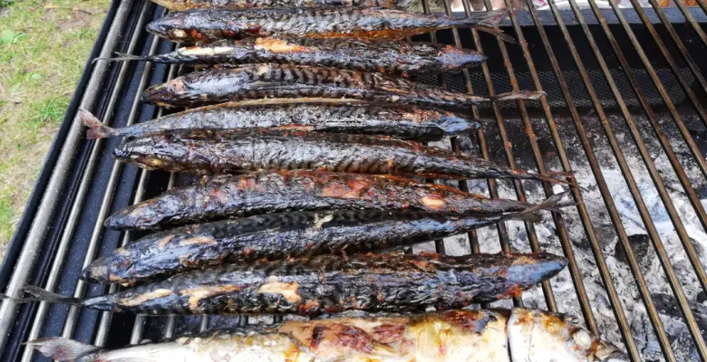 Grilování na Rolavě