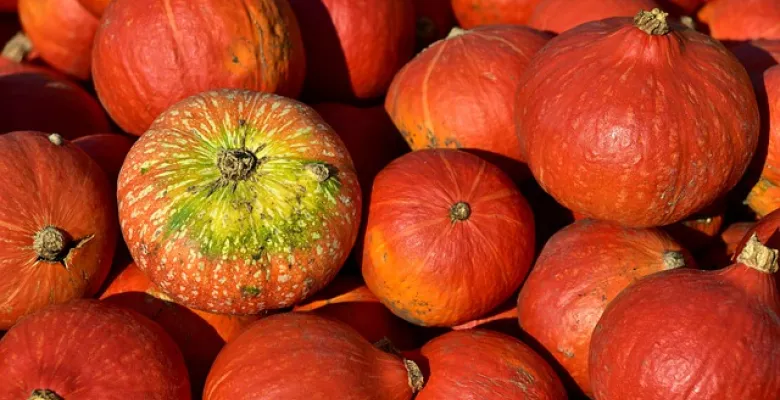 Farmářské trhy Karlovy Vary