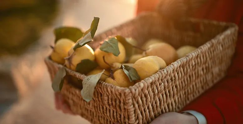 Farmářské trhy Karlovy Vary