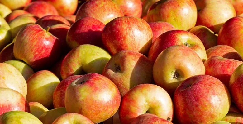 Farmářské trhy Karlovy Vary