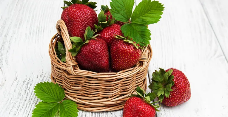 Farmářské trhy Karlovy Vary