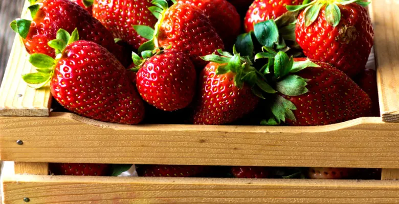 Farmářské trhy Karlovy Vary