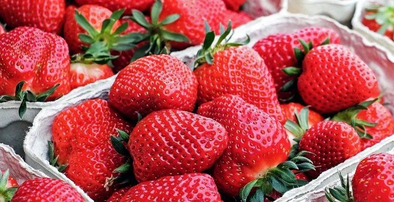 Farmářské trhy Karlovy Vary