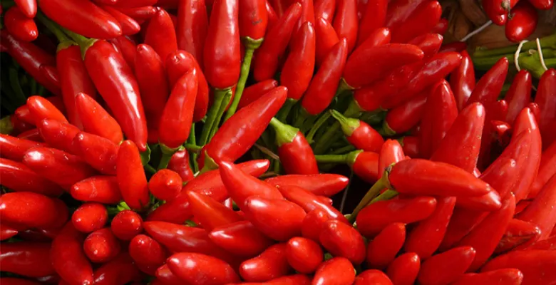 Farmářské trhy Karlovy Vary