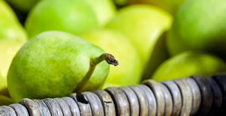 Farmářské trhy Karlovy Vary