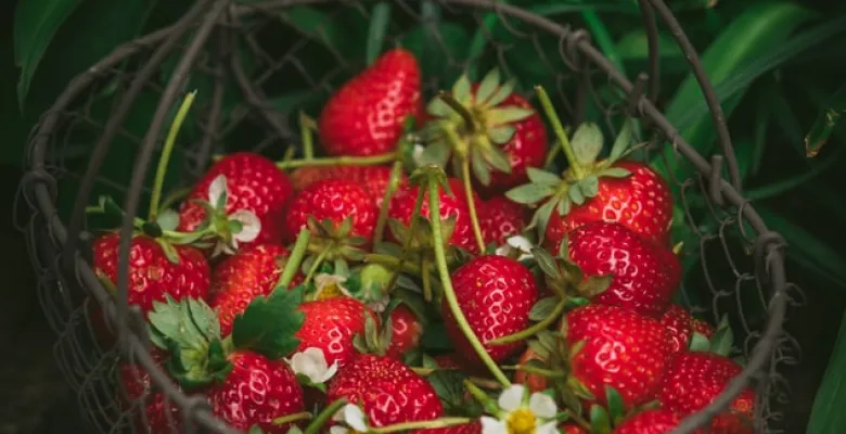 Farmářské trhy Karlovy Vary
