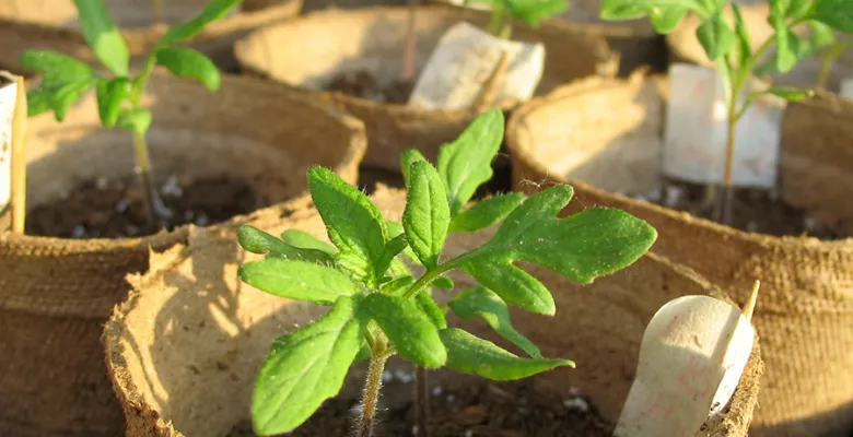 Farmářské trhy Karlovy Vary