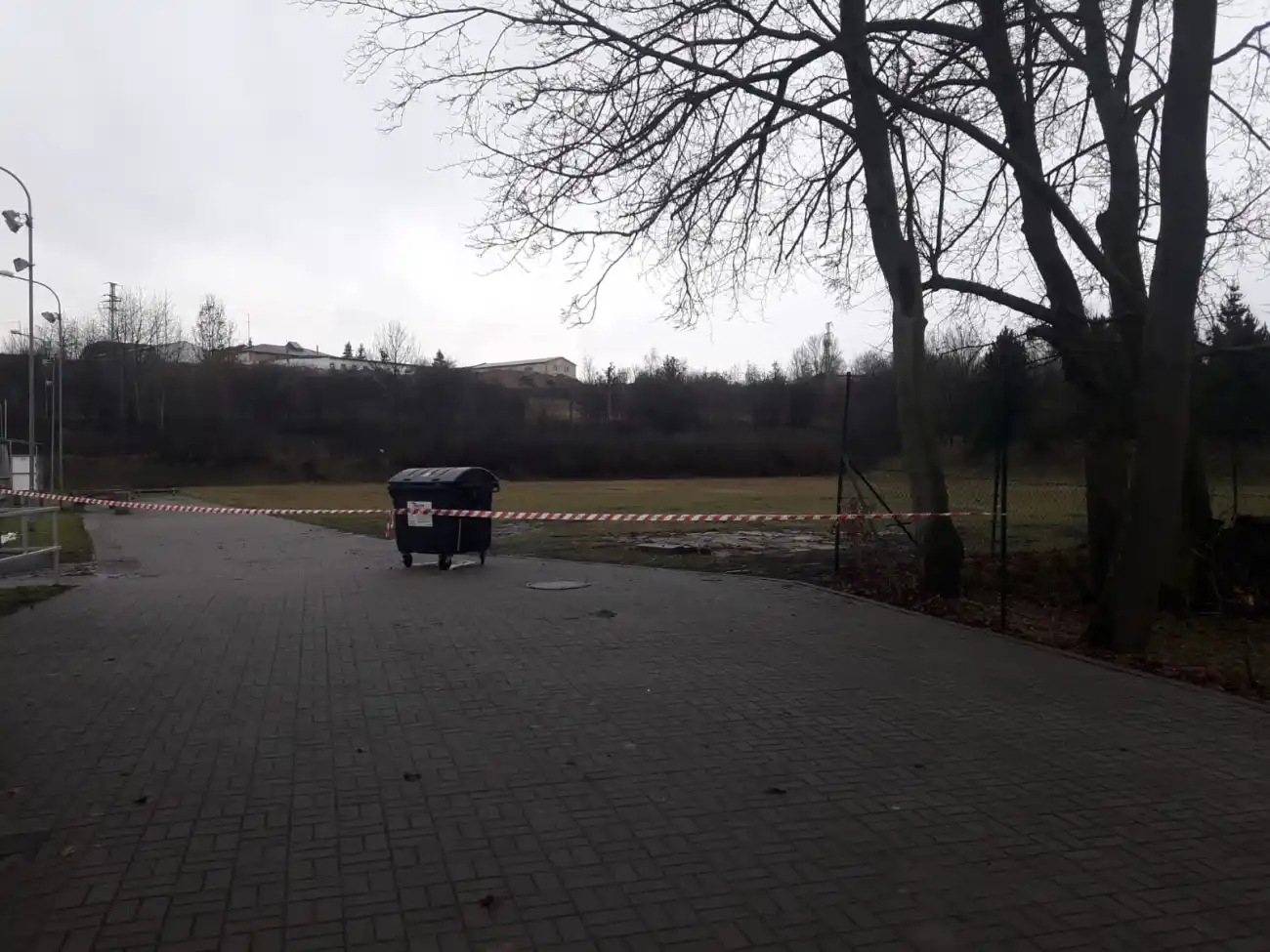 Poškozený strom ve skateparku