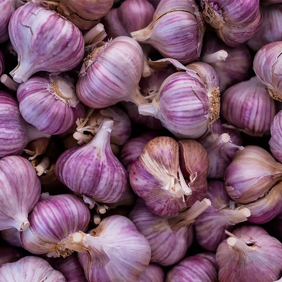Farmářské trhy nabídnou sezonní kořenovou zeleninu a ovoce