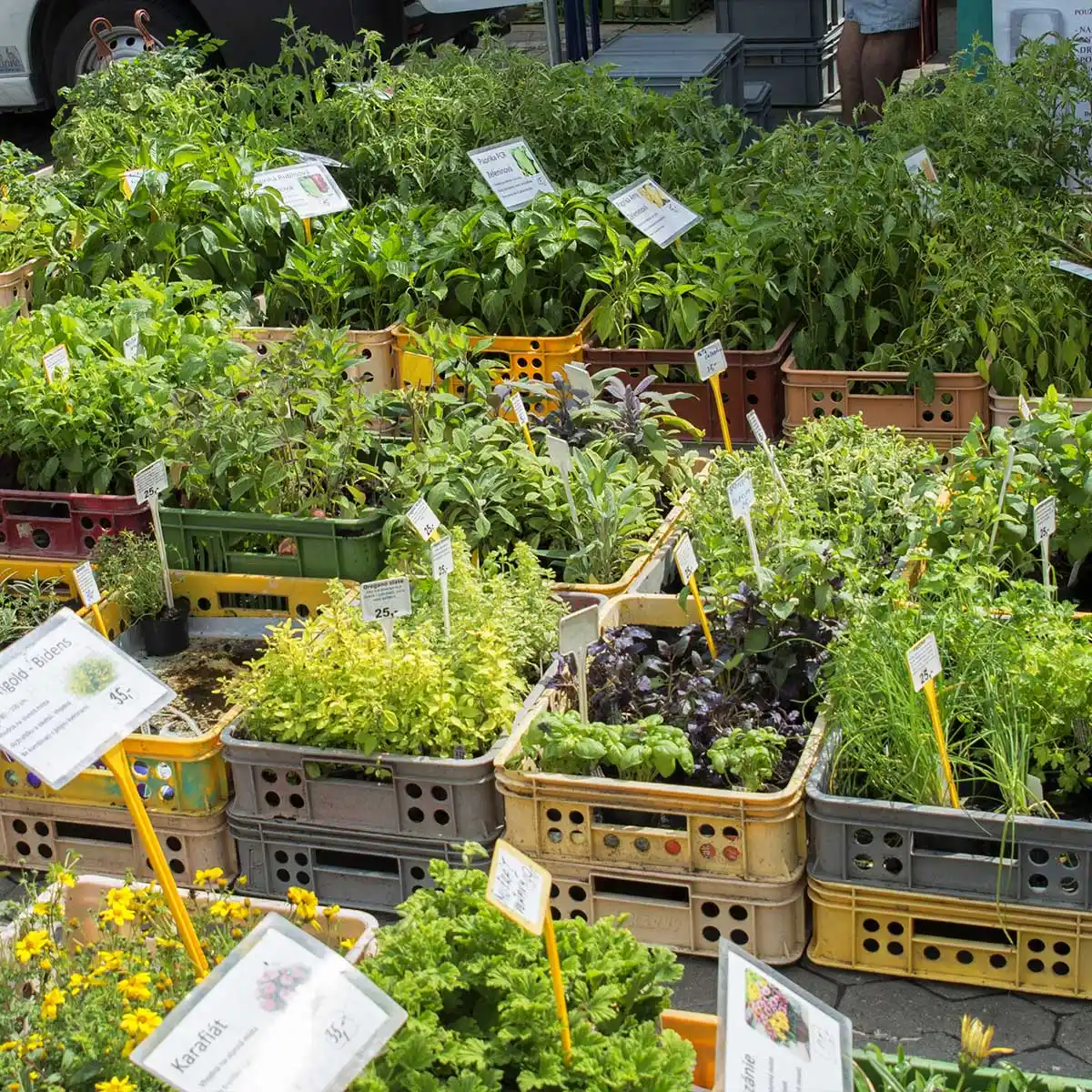 Farmářské trhy Karlovy Vary