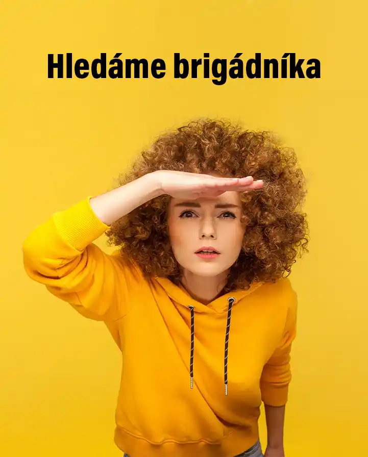 Hledáme brigádníka
