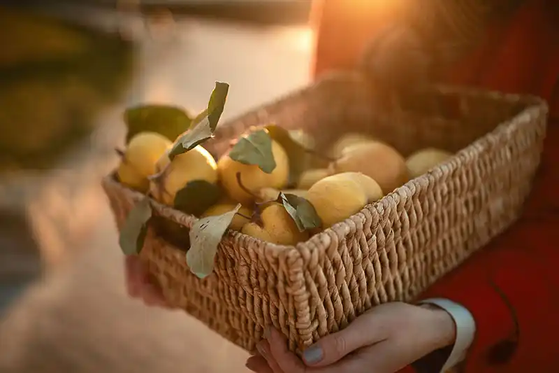 Farmářské trhy Karlovy Vary