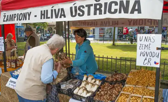 Farmářské trhy